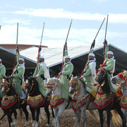 Lisa Abraham: Tbourida Photos by Lisa Abraham 