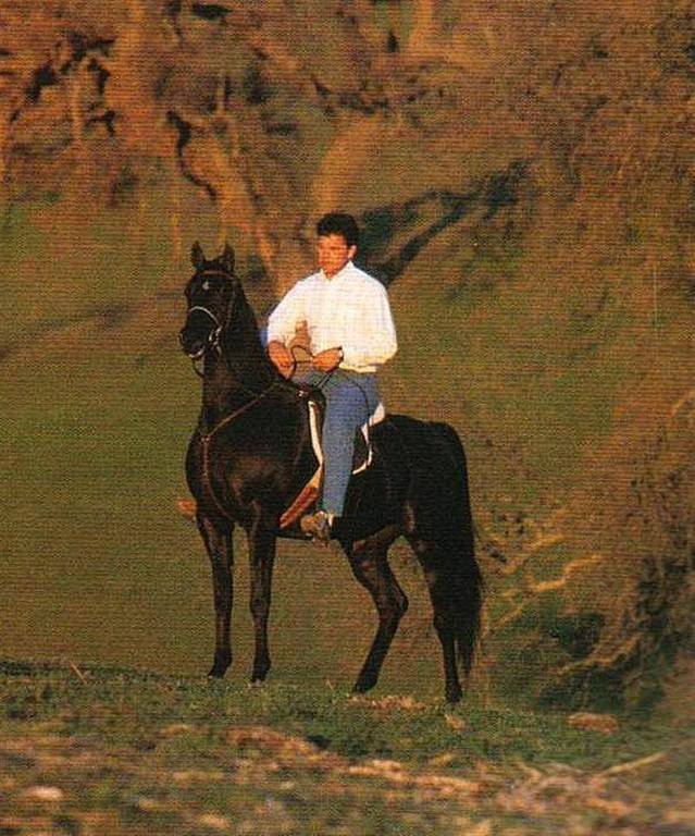 A Quiet Moment with Shahteyna