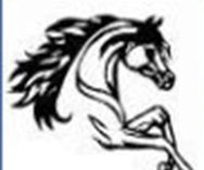 Saguaro Classic All Arabian Horse Show