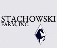 Stachowski Annual Sales Presentation