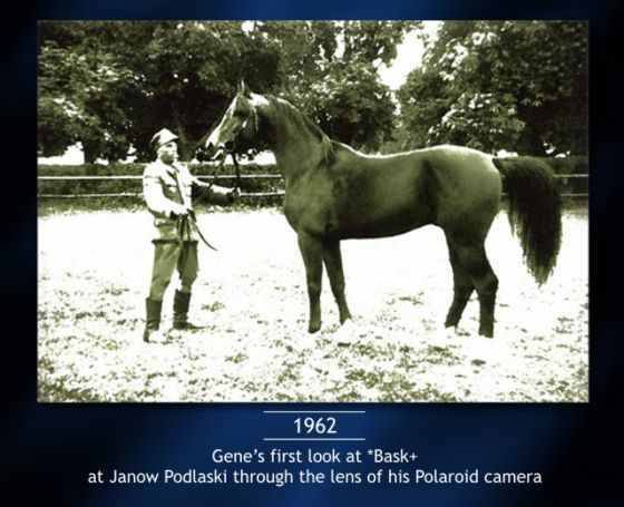 When Gene LaCroix First Saw *Bask