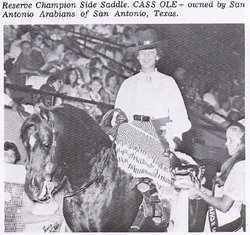 When Cass Ole Went Reserve National Champion