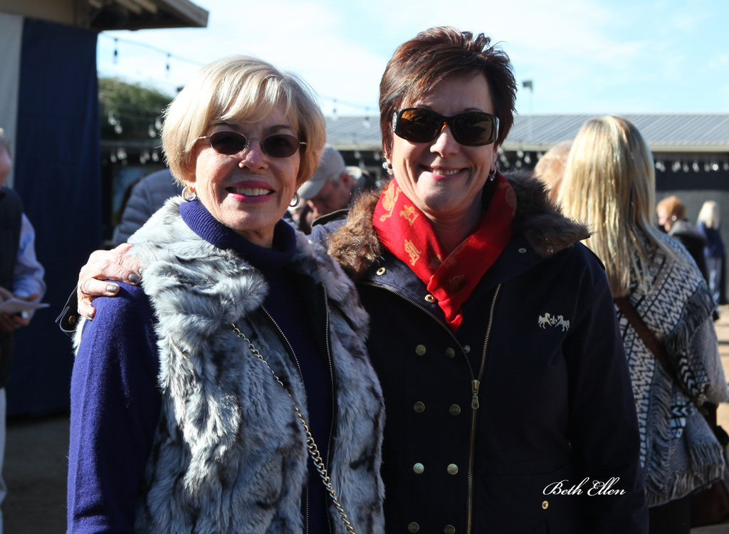 Royal Arabians/Guzzo World wide