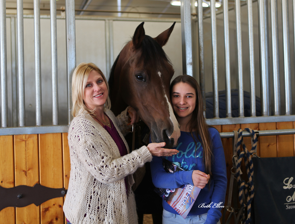 Laurie Martin Show Horses