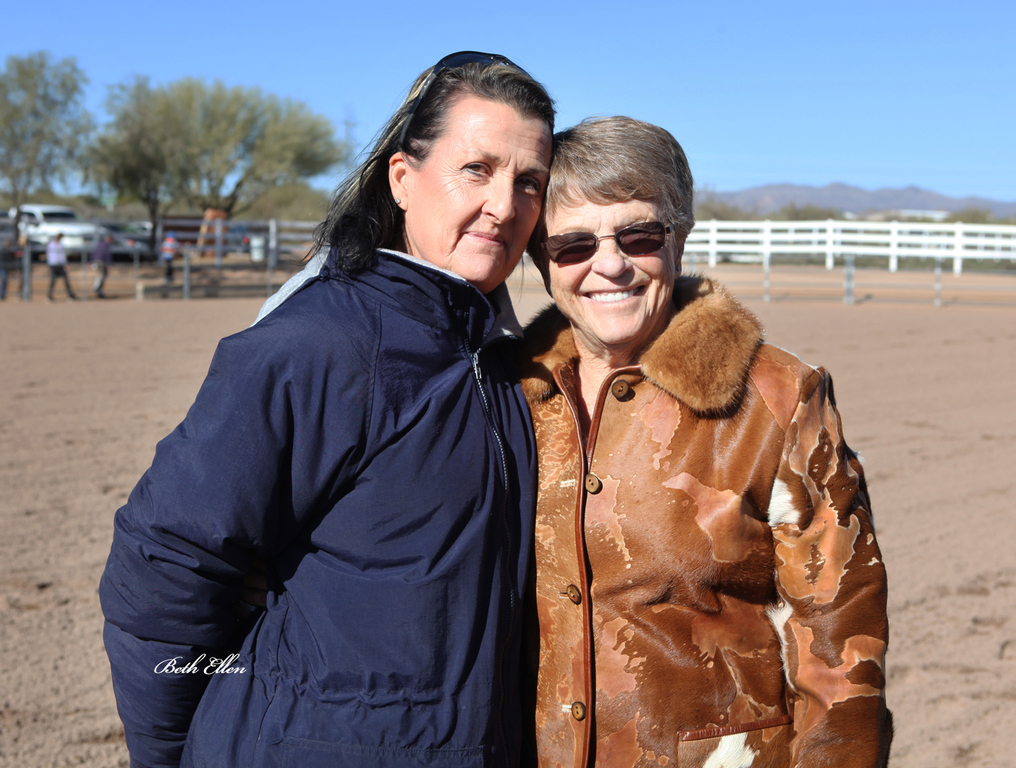 Laurie Martin Show Horses