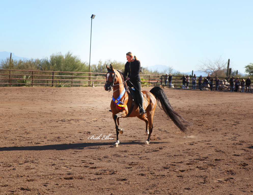 Culbreth Equine Center