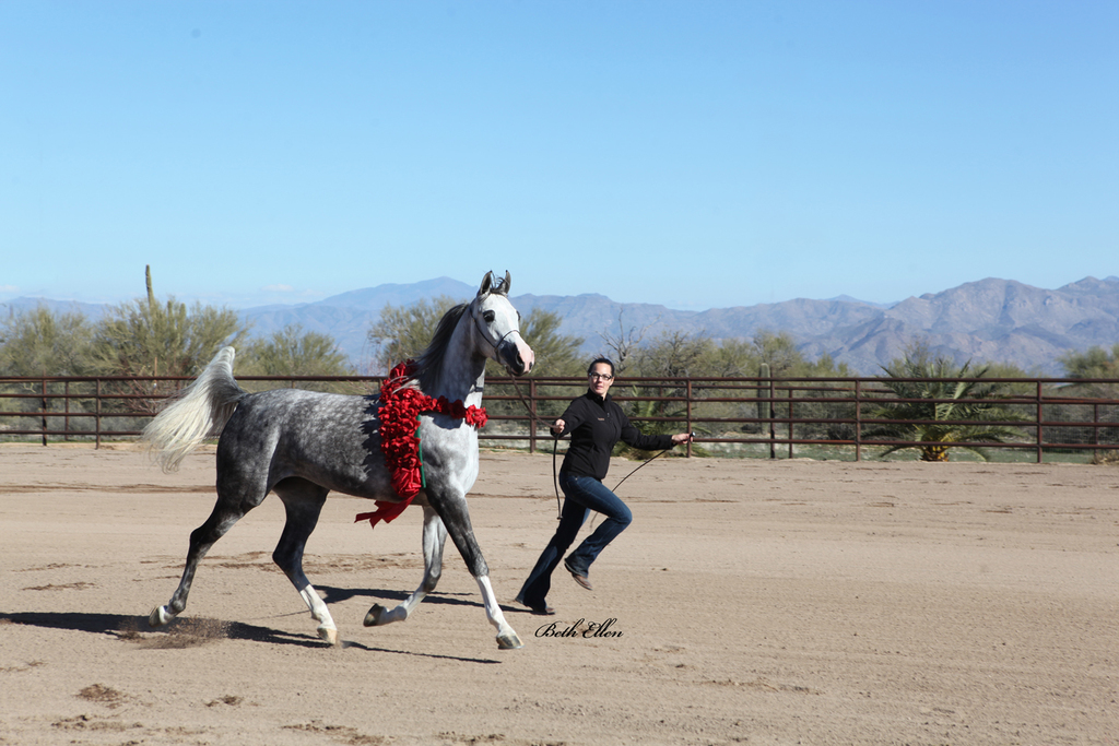 Culbreth Equine Center