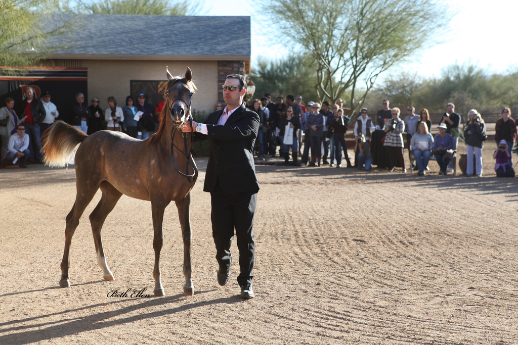 Rodrigues Training Center