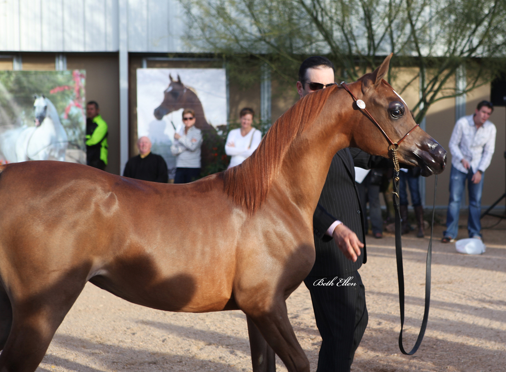 Rodrigues Training Center