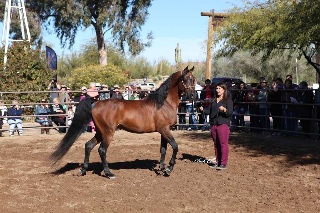 Tara Carpio Training Center