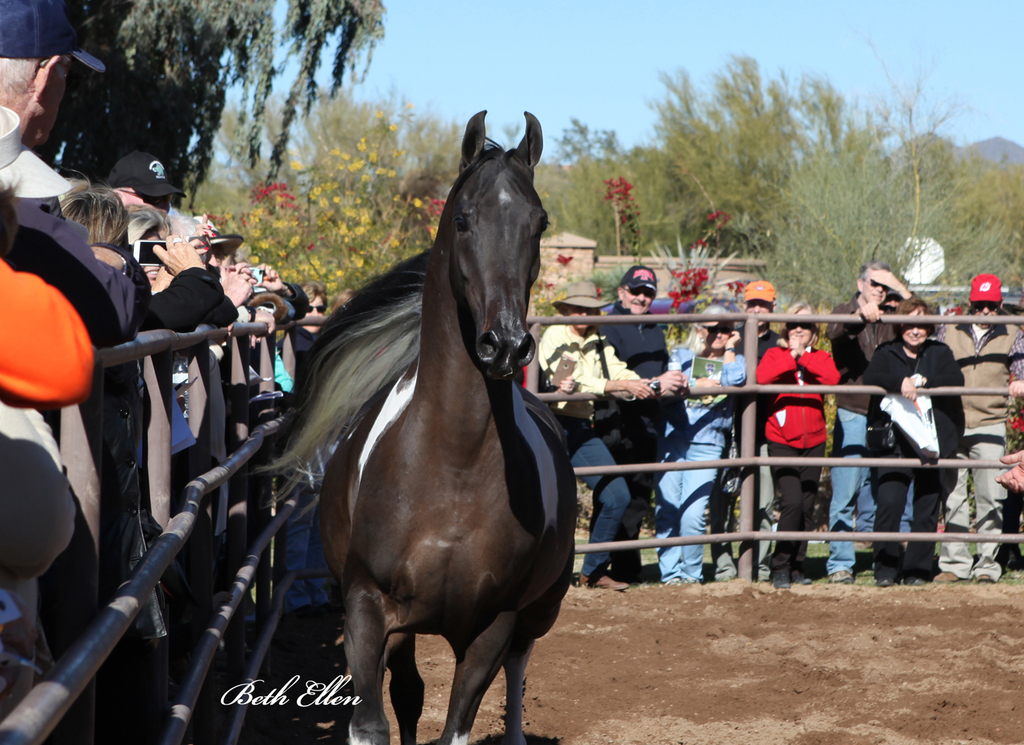 Tara Carpio Training Center