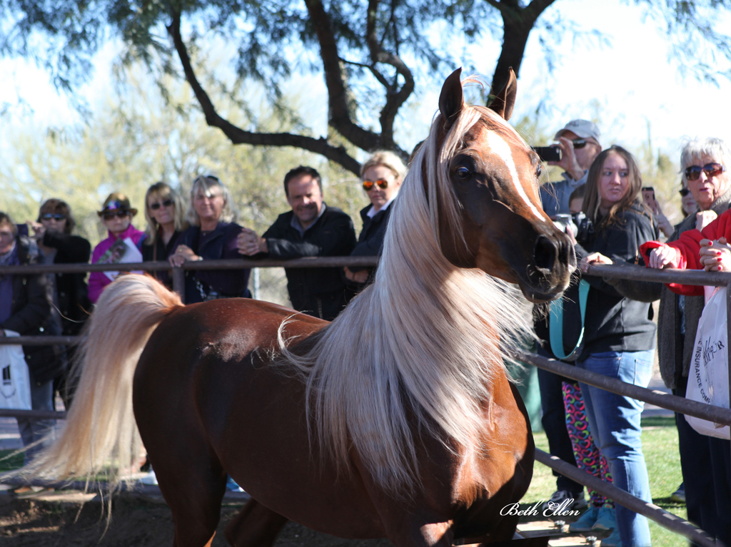 Tara Carpio Training Center