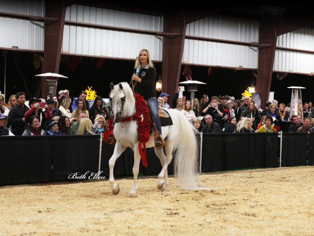 Pegasus Arabians/ Sandspur Ranch
