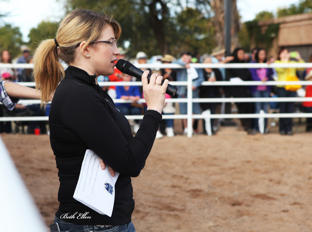 Royal Arabians, Mesa