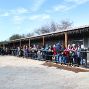THE 2016 ARABHORSE SCOTTSDALE FARM TOUR