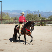 THE 2016 ARABHORSE SCOTTSDALE FARM TOUR
