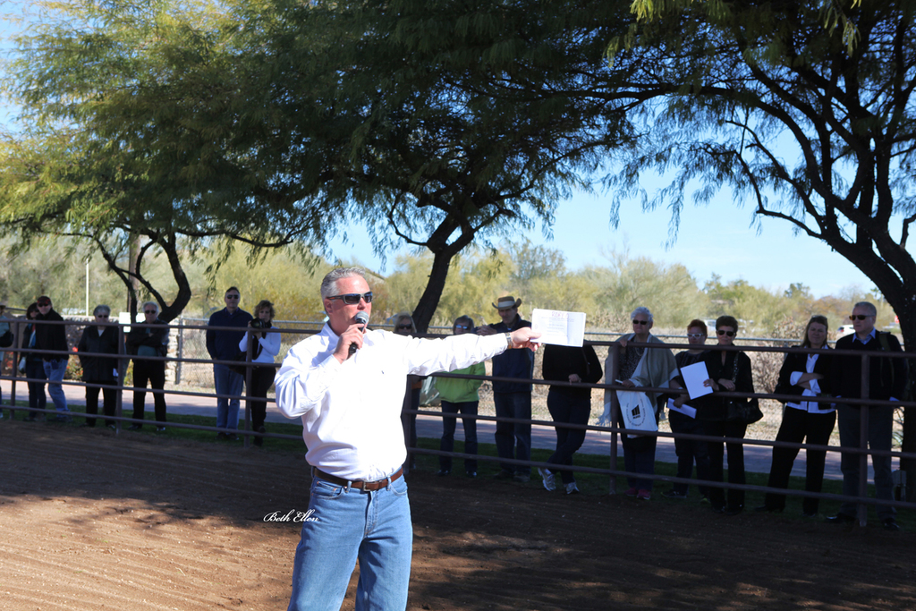 THE 2016 ARABHORSE SCOTTSDALE FARM TOUR