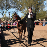 THE 2016 ARABHORSE SCOTTSDALE FARM TOUR