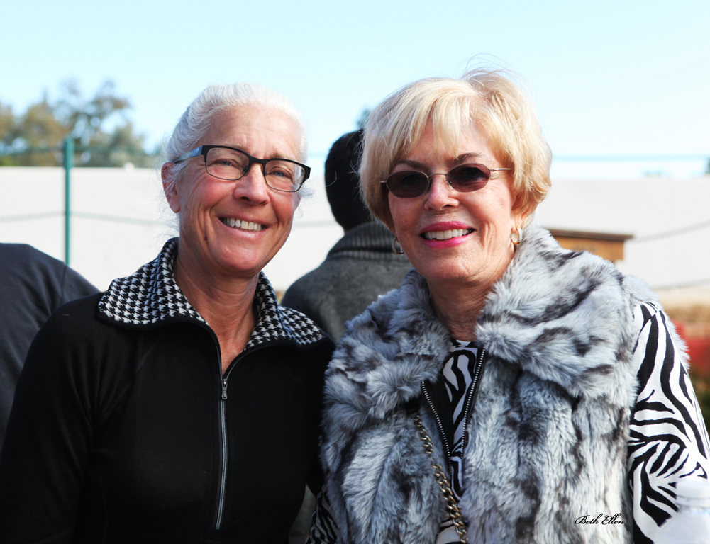 THE 2016 ARABHORSE SCOTTSDALE FARM TOUR