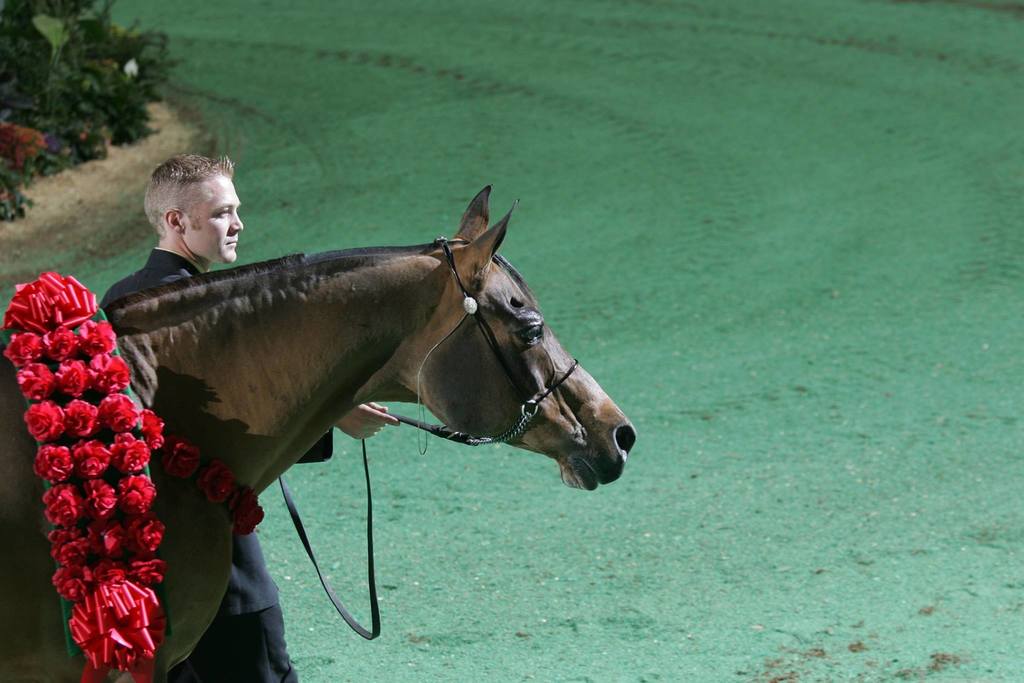 When Aladdinn Was Presented for the Last Time