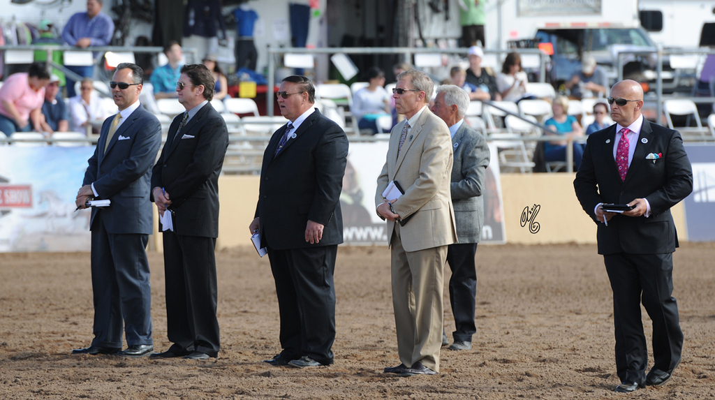  The 2015 panel of Judges 