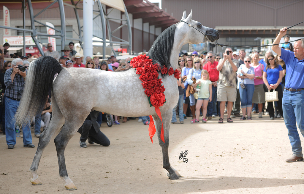 2015 Barn Parties: Keith Kritche's 