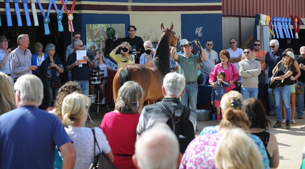 2015 Barn Parties: Truest being presented at Greg Gallun's