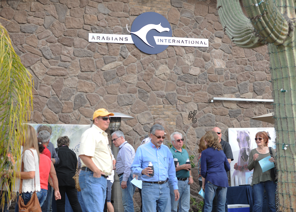 2015: Arabians International  Farm Presentation