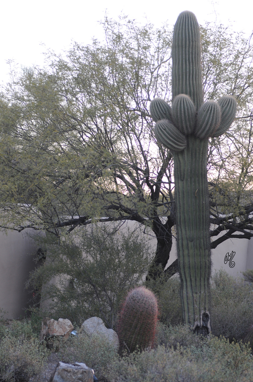 It's TIME: Scottsdale 2016!