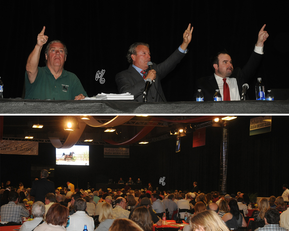 The 2015 SSS Auction...