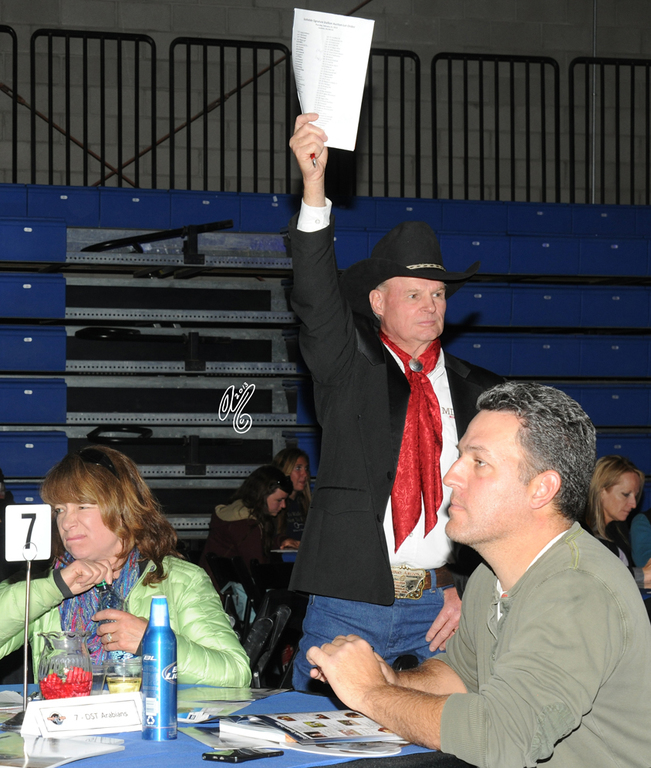 In 2013 the bidding was hot!!