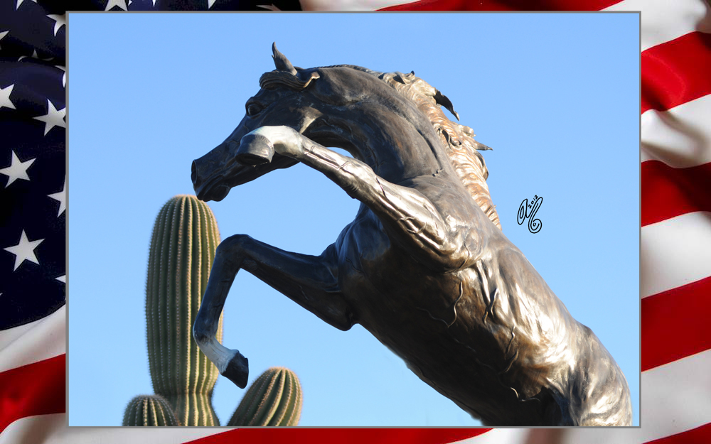 It's TIME: the 2016 Scottsdale Arabian Horse Show!