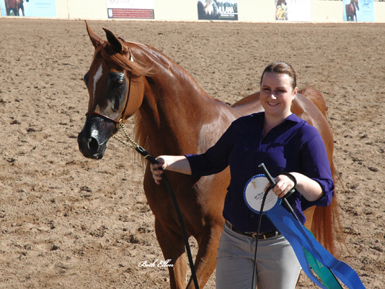 Scottsdale Arabian Horse Show News for Friday, February 12, 2016