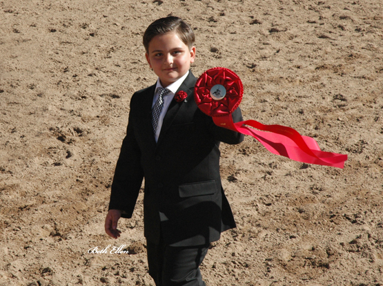 Scottsdale Arabian Horse Show News for Friday, February 12, 2016