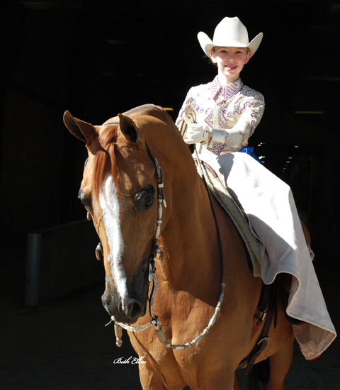 Scottsdale Arabian Horse Show News for Friday, February 12, 2016