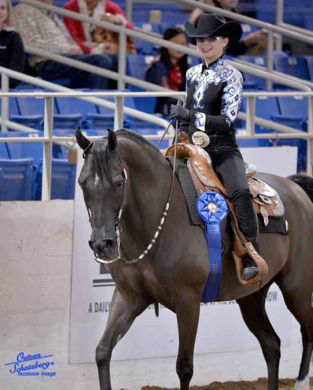 Scottsdale Arabian Horse Show News for Friday, February 12, 2016