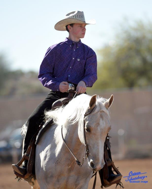 Scottsdale Arabian Horse Show News for Friday, February 12, 2016