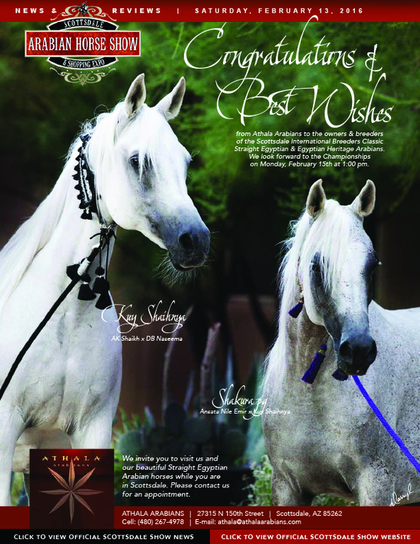 Scottsdale Arabian Horse Show News for Saturday, February 13, 2016