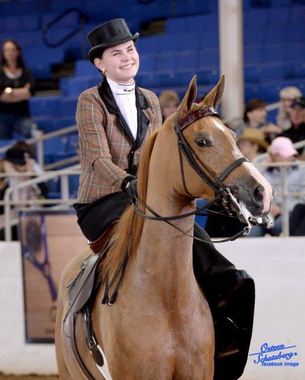 Scottsdale Arabian Horse Show News for Saturday, February 13, 2016