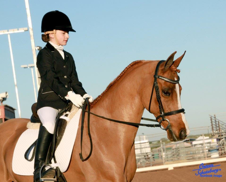 Scottsdale Arabian Horse Show News for Saturday, February 13, 2016