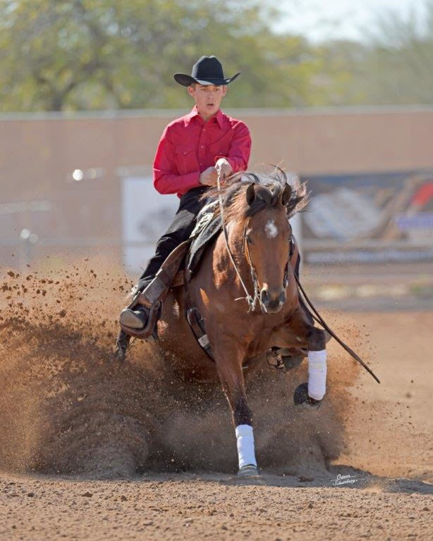 Scottsdale Arabian Horse Show News for Saturday, February 13, 2016