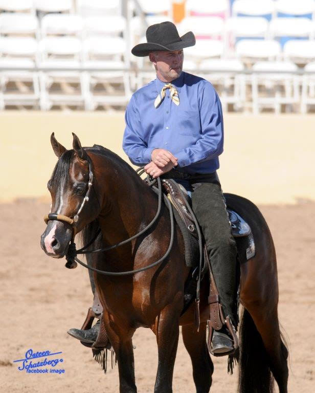 Scottsdale Arabian Horse Show News for Saturday, February 13, 2016
