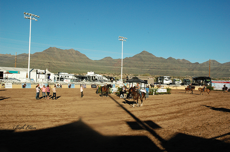 Scottsdale Arabian Horse Show News for Saturday, February 13, 2016