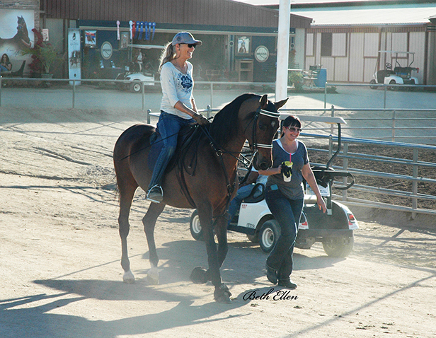 Scottsdale Arabian Horse Show News for Saturday, February 13, 2016
