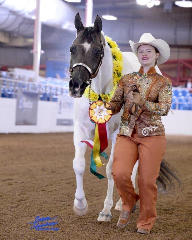 Scottsdale Arabian Horse Show News for Monday, February 15, 2016