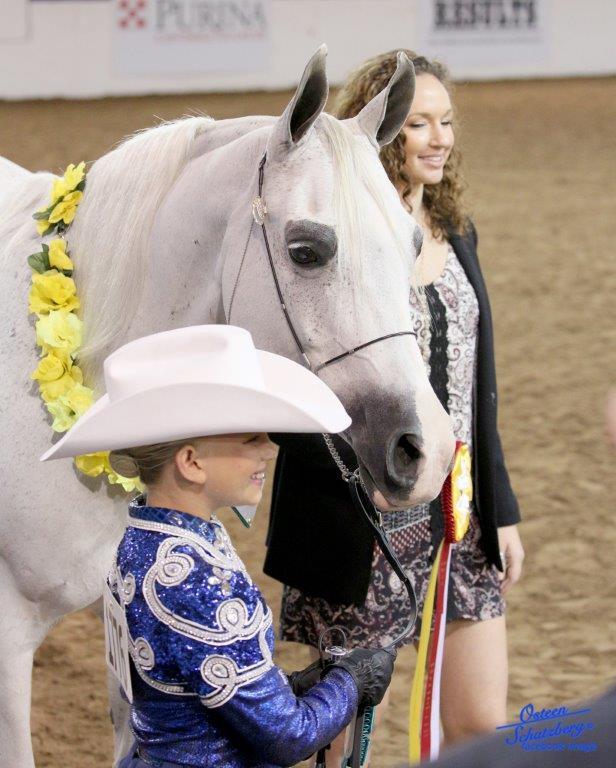 Scottsdale Arabian Horse Show News for Monday, February 15, 2016