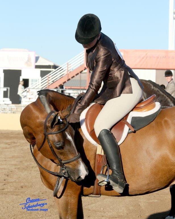 Scottsdale Arabian Horse Show News for Monday, February 15, 2016
