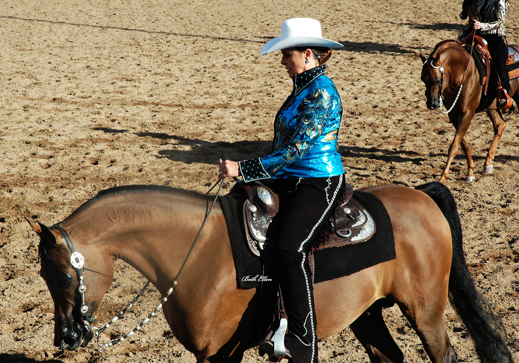 Scottsdale Arabian Horse Show News for Monday, February 15, 2016