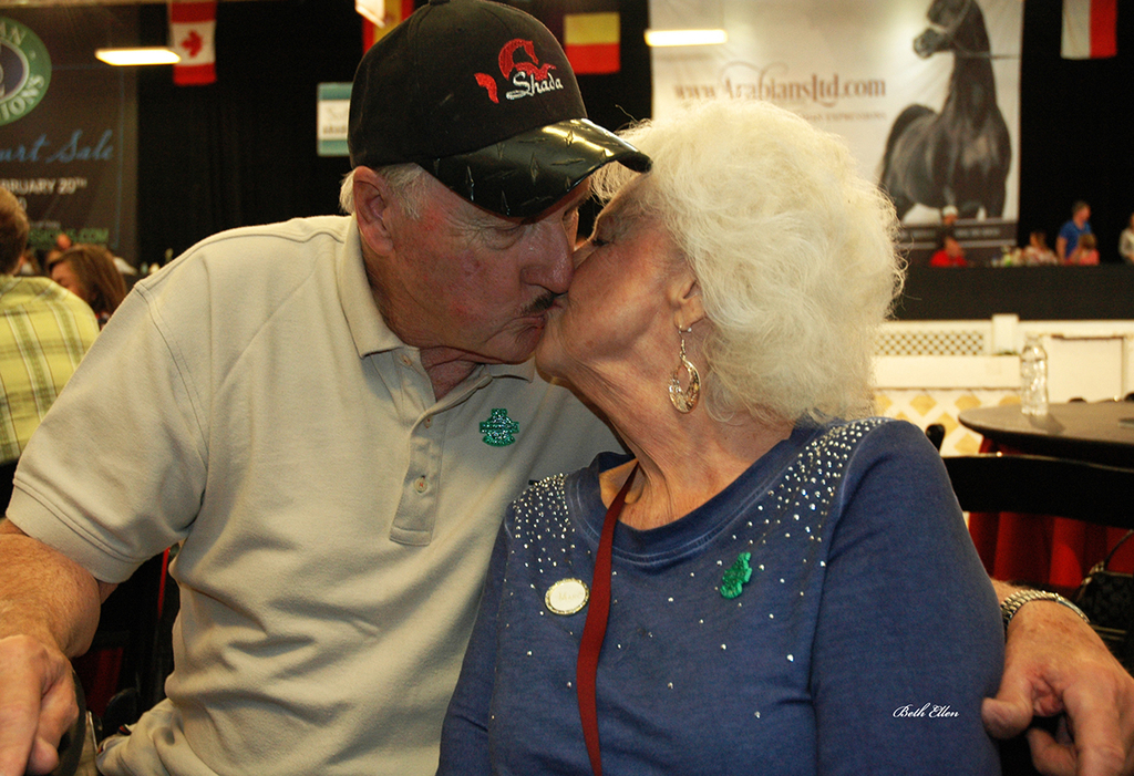 Scottsdale Arabian Horse Show News for Monday, February 15, 2016