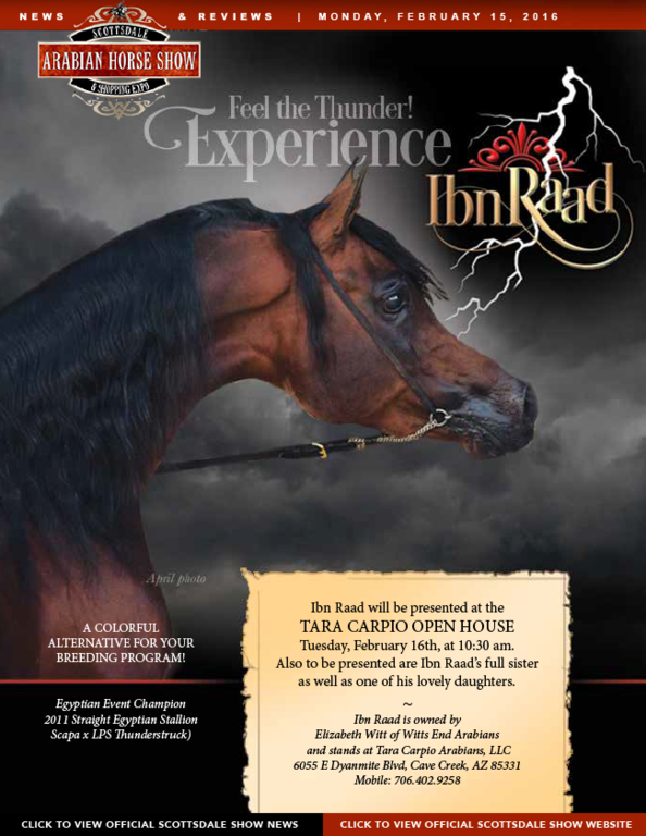 Scottsdale Arabian Horse Show News for Monday, February 15, 2016